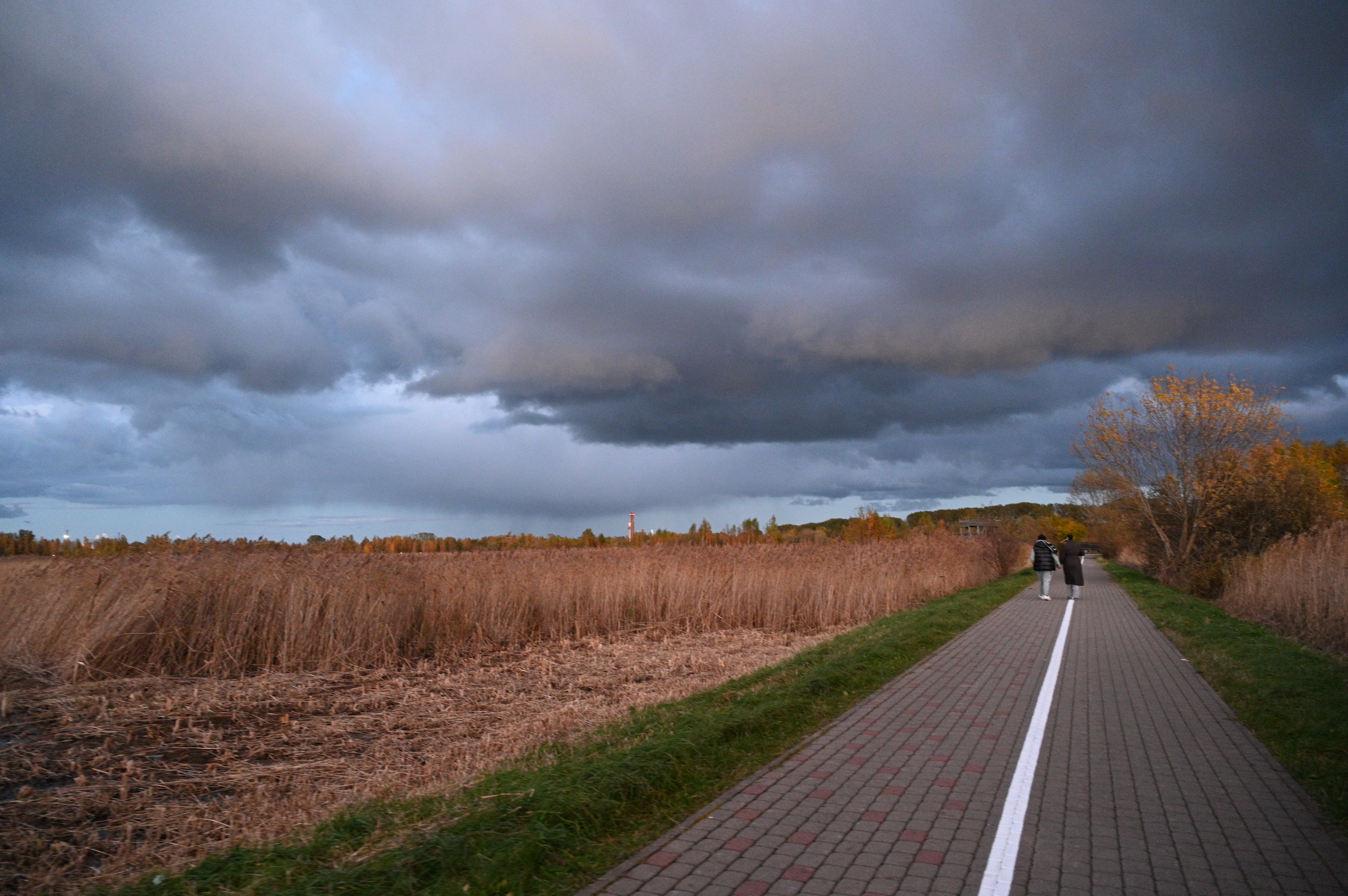 2025/10/18 - walk/DSC_0610.JPG